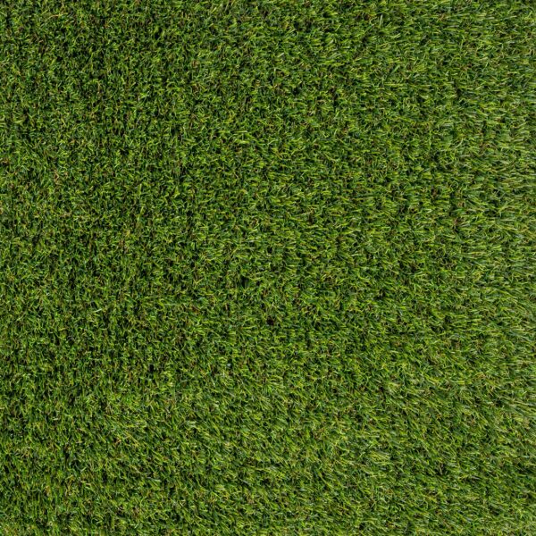Landscaping Everest 50mm
